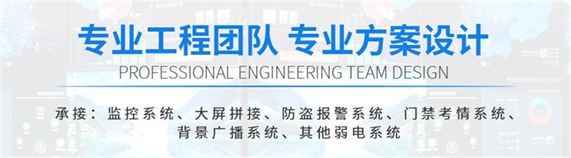 四川安防公(gōng)司 四川安防公司